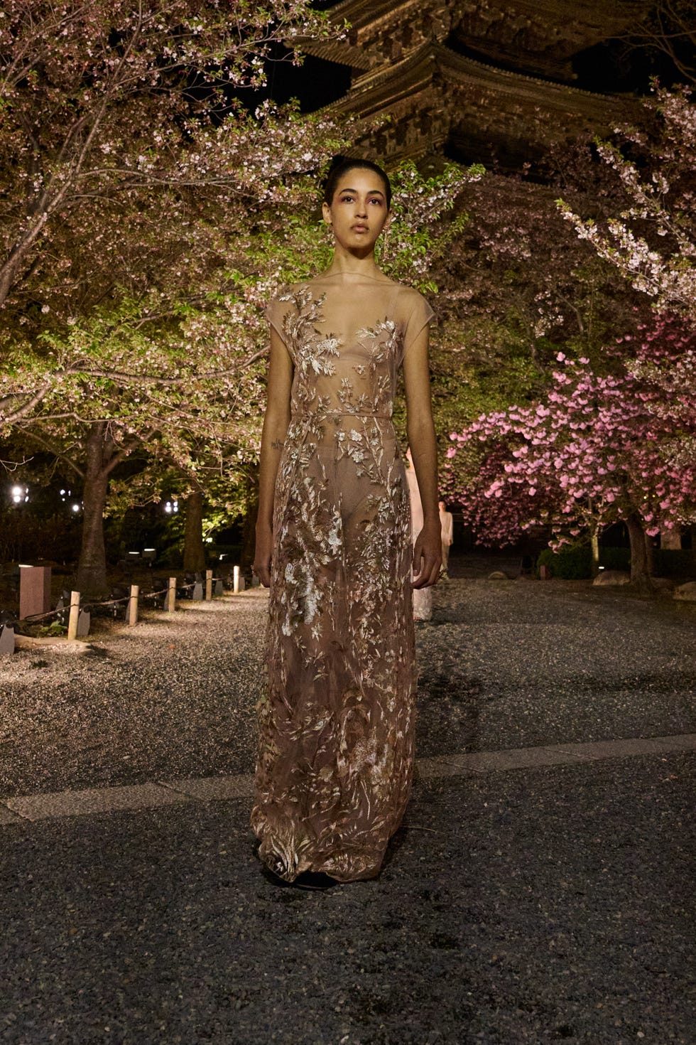 dior japan