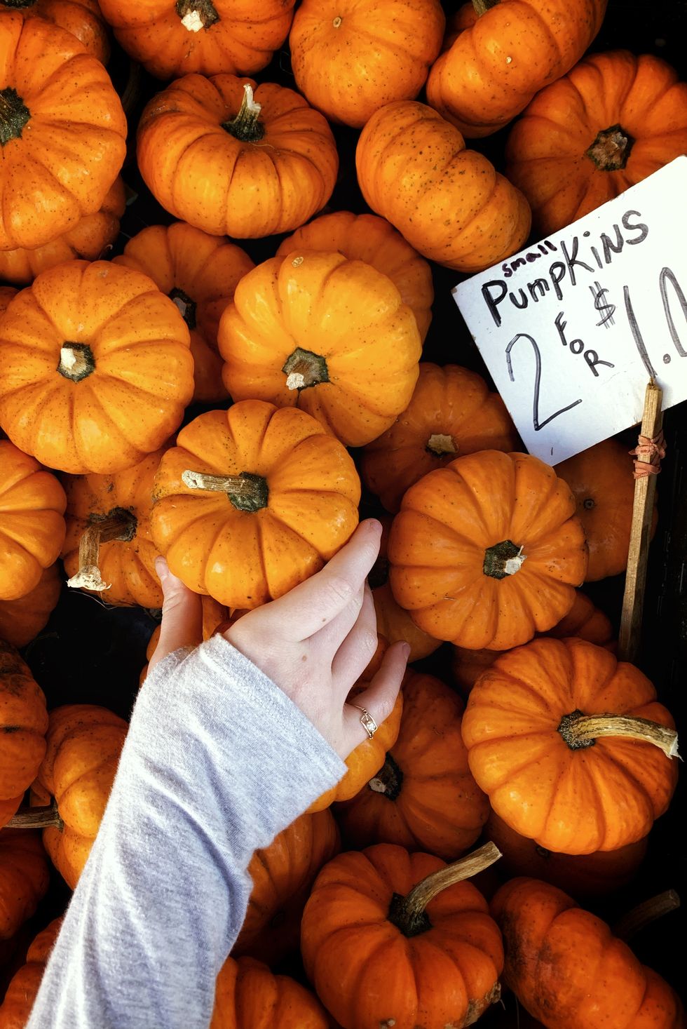 directly above shot of pumpkins at market