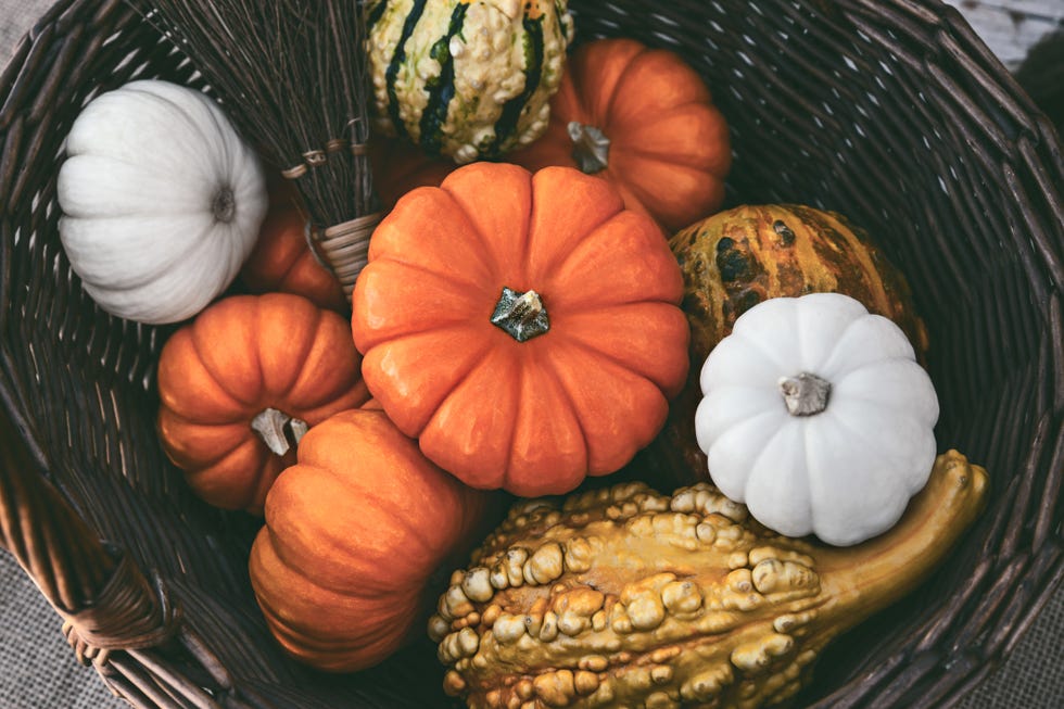 Directly Above Shot Of Pumpkins In Wicker Basket Directly Above Shot Of Pumpkins In Wicker Basket