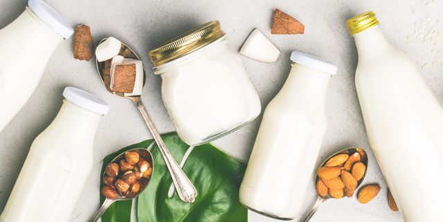 Dairy-Free Plant-Based Milk Alternatives