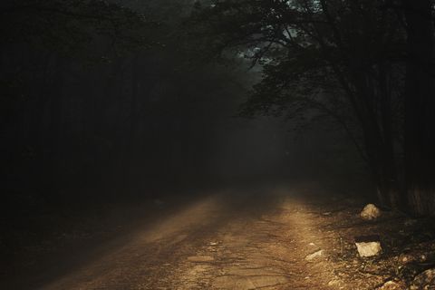 spooky urban legends   dirt road in forest