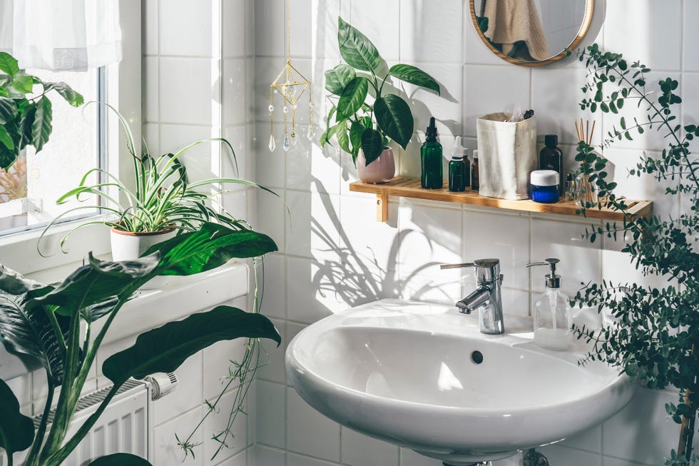 baño blanco con plantas