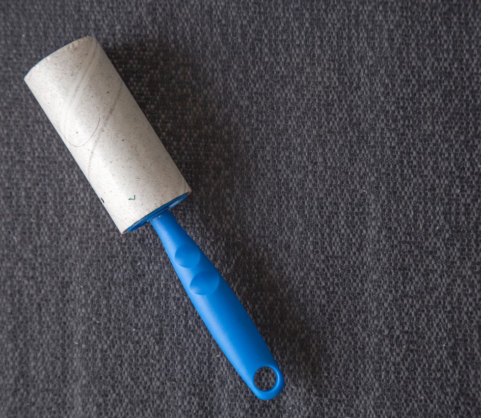 lint roller for cleaning screens