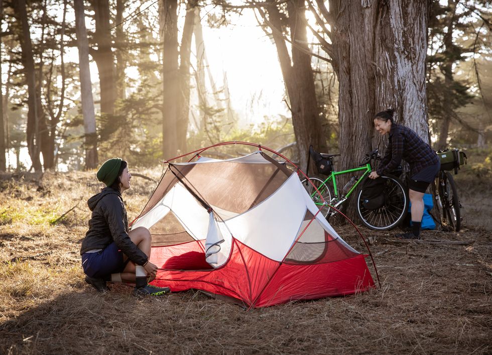 Tent, Camping, Tree, Wilderness, Recreation, Woodland, Leisure, Forest, Adventure, Sunlight, 