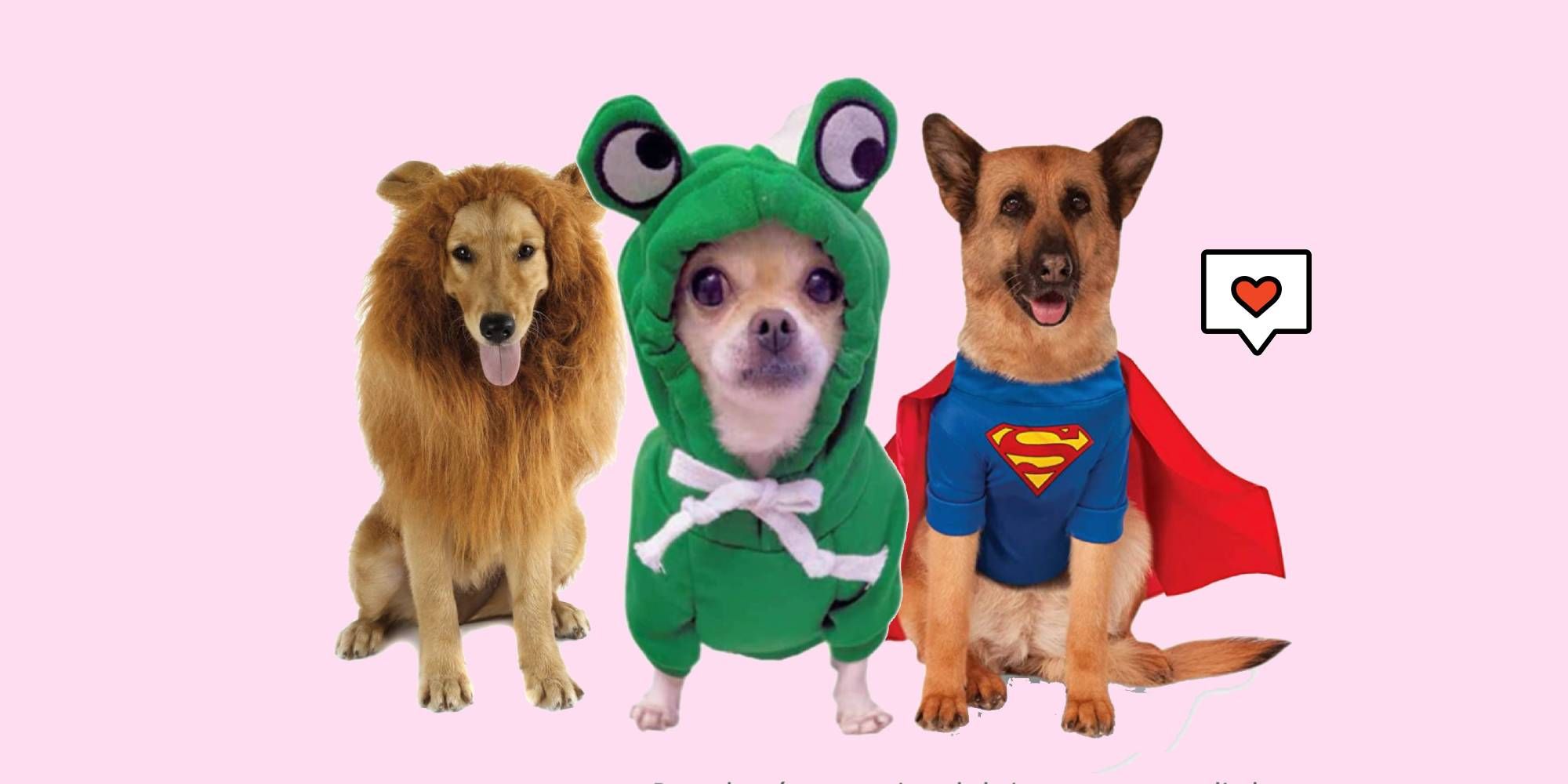 50 disfraces originales perros Halloween
