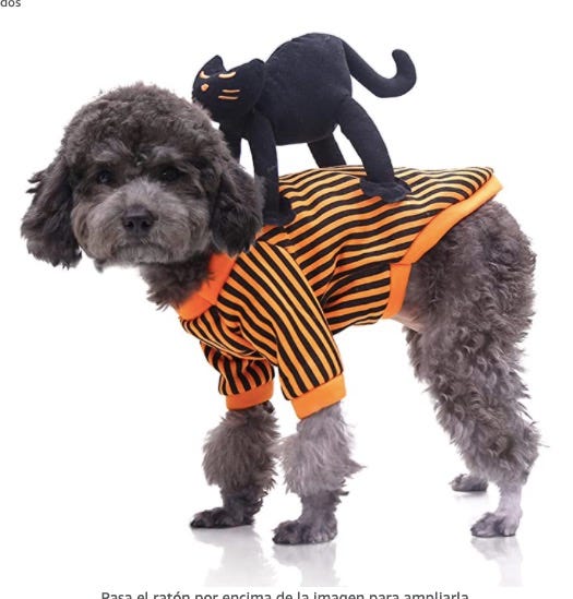 disfraces halloween perros