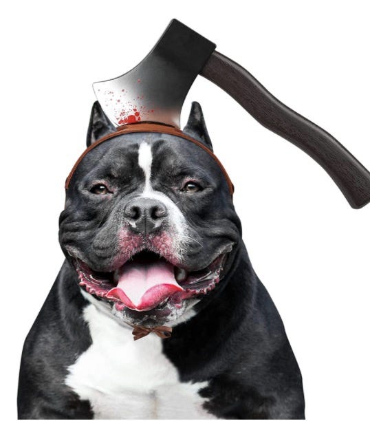 disfraces halloween perros