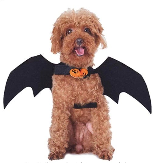 disfraces halloween perros