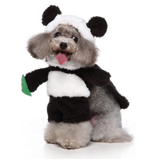 disfraces halloween perros