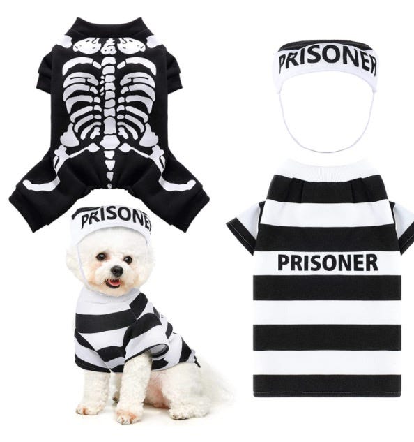 disfraces halloween perros