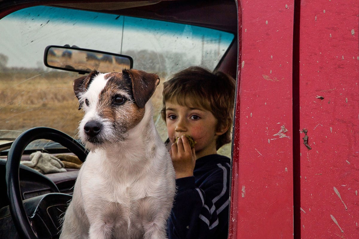 Hoewel walging ons in het algemeen beschermt tegen ziekteverwekkers is het contact met een beetje vuil helemaal niet zo slecht Uit onderzoek blijkt dat als kinderen van minder dan n jaar oud geregeld met een hond omgaan ze dertien procent minder kans lopen om later astma te ontwikkelen