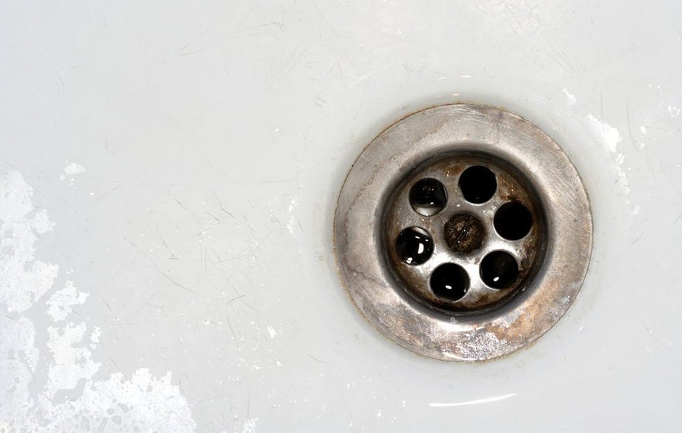 Sponges left in sinks become fecal germ bombs, science says