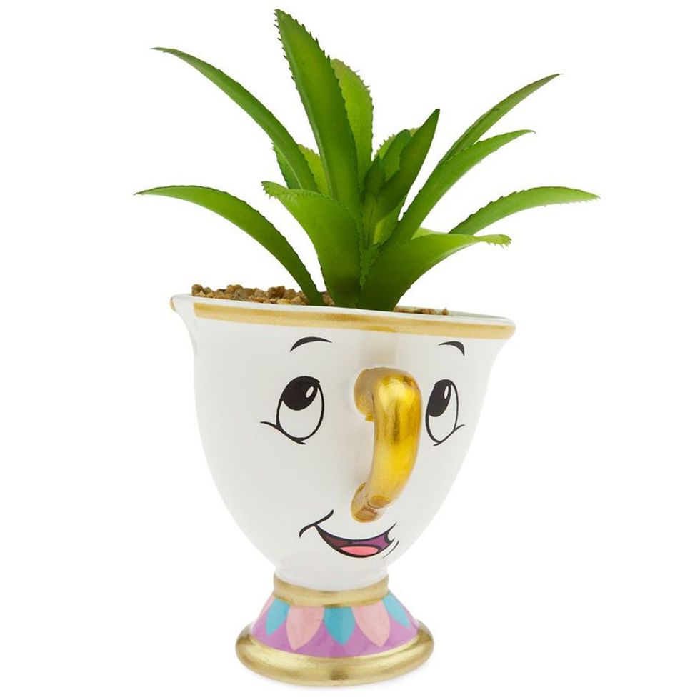 disney 'beauty and the beast' chip succulent