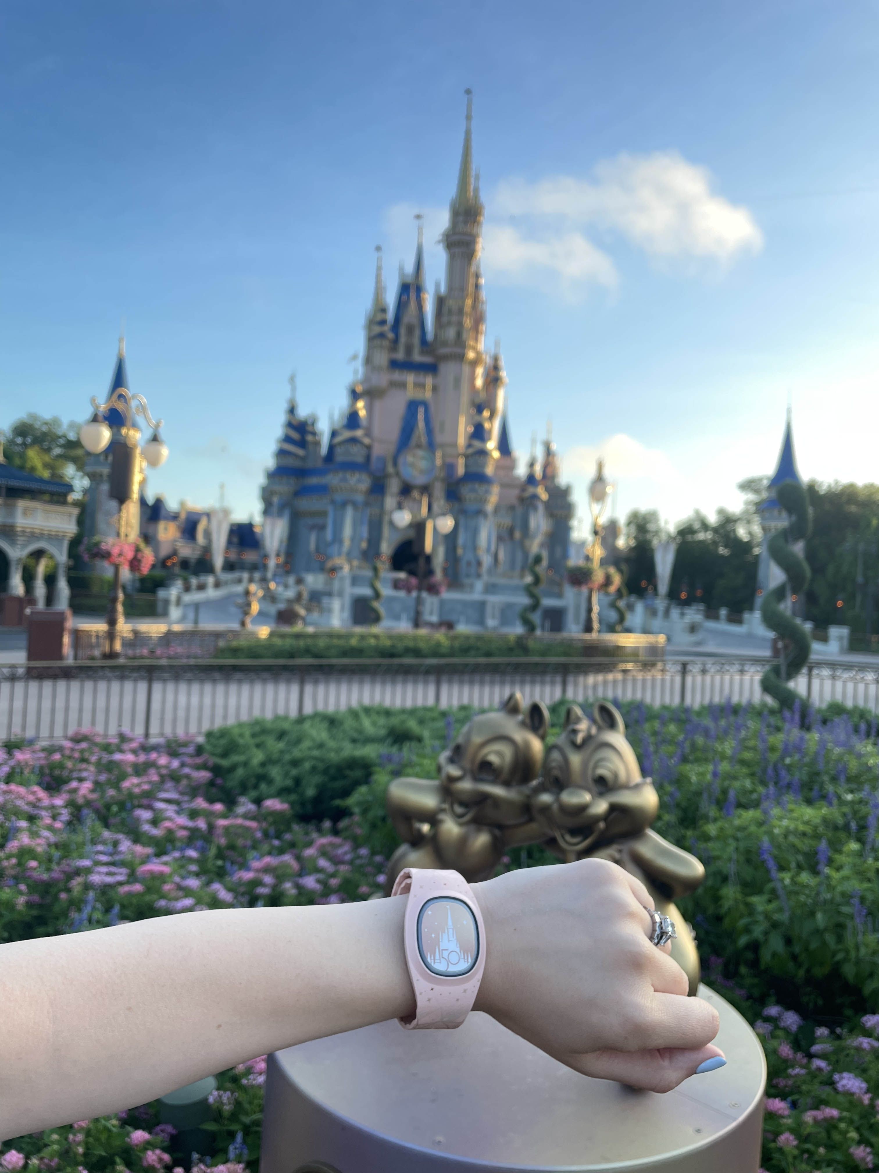 Magic Band Plus: Is It Worth It? - Cuisine And Travel