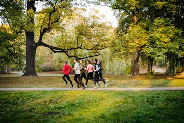 a distant side view of joggers running next to a row of trees