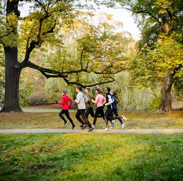 A distant side view of joggers running next to a row of trees. a distant side view of joggers running next to a row of trees