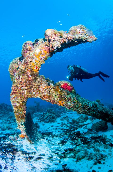 https://hips.hearstapps.com/hmg-prod/images/diver-over-old-spanish-anchor-incrusted-with-royalty-free-image-1687467906.jpg?crop=1.00xw:0.661xh;0,0.118xh&resize=640:*