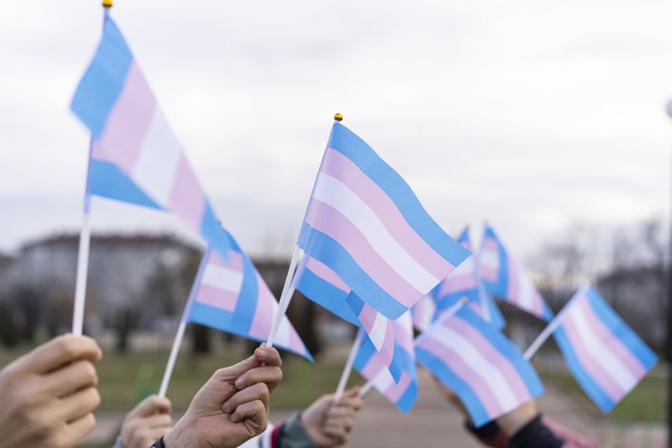 diverse people holding transgender flags