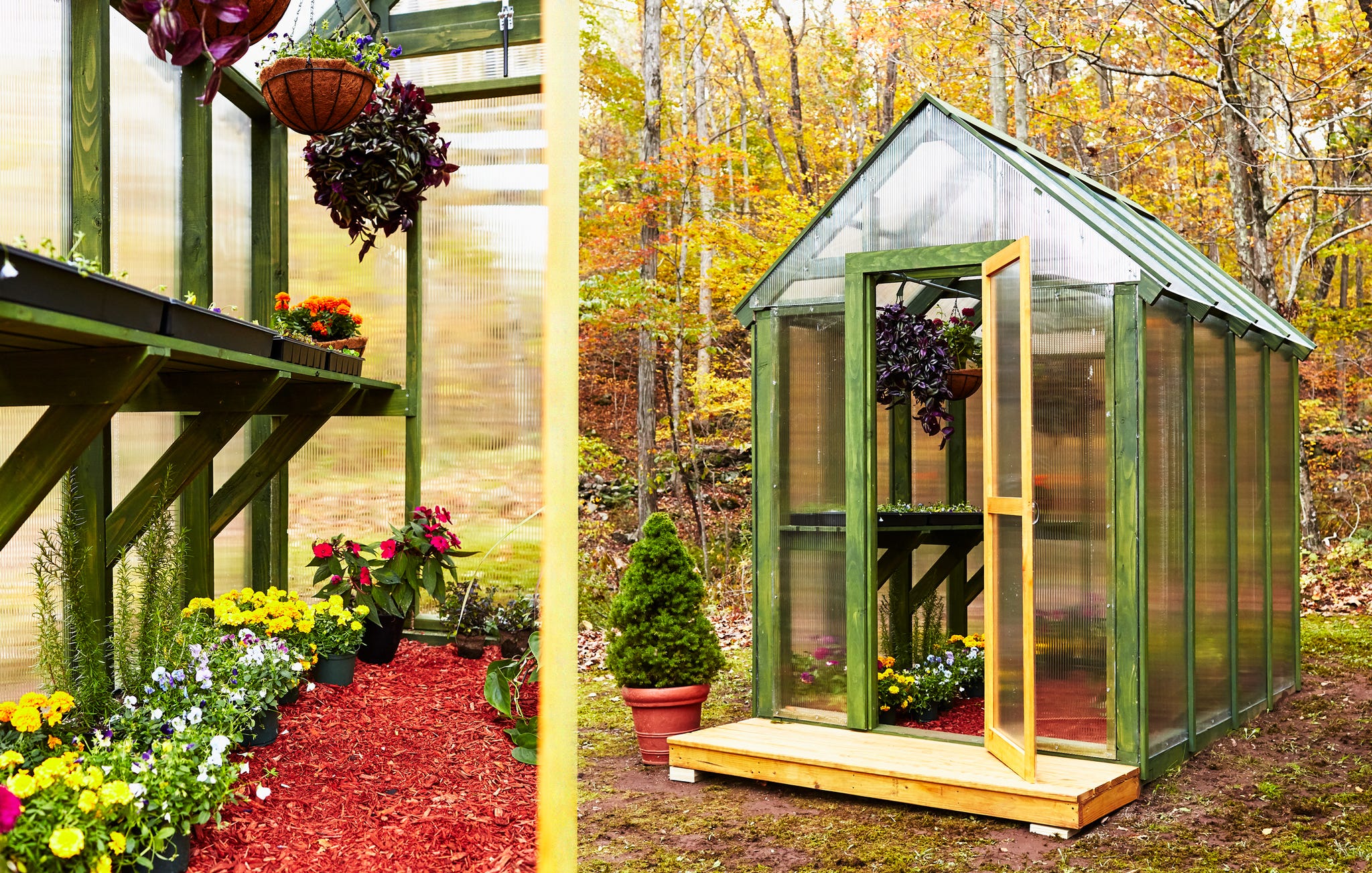 Greenland Gardener Backyard Pop Up Greenhouse Instructions Fasci Garden