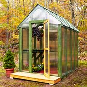 diy backyard greenhouse
