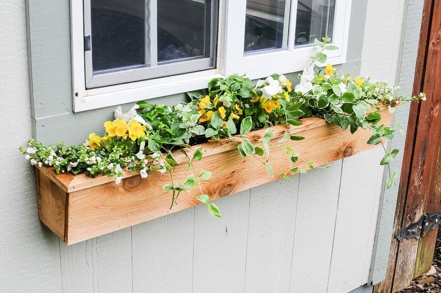 raised bed garden ideas diy cedar window boxes joyful derivatives