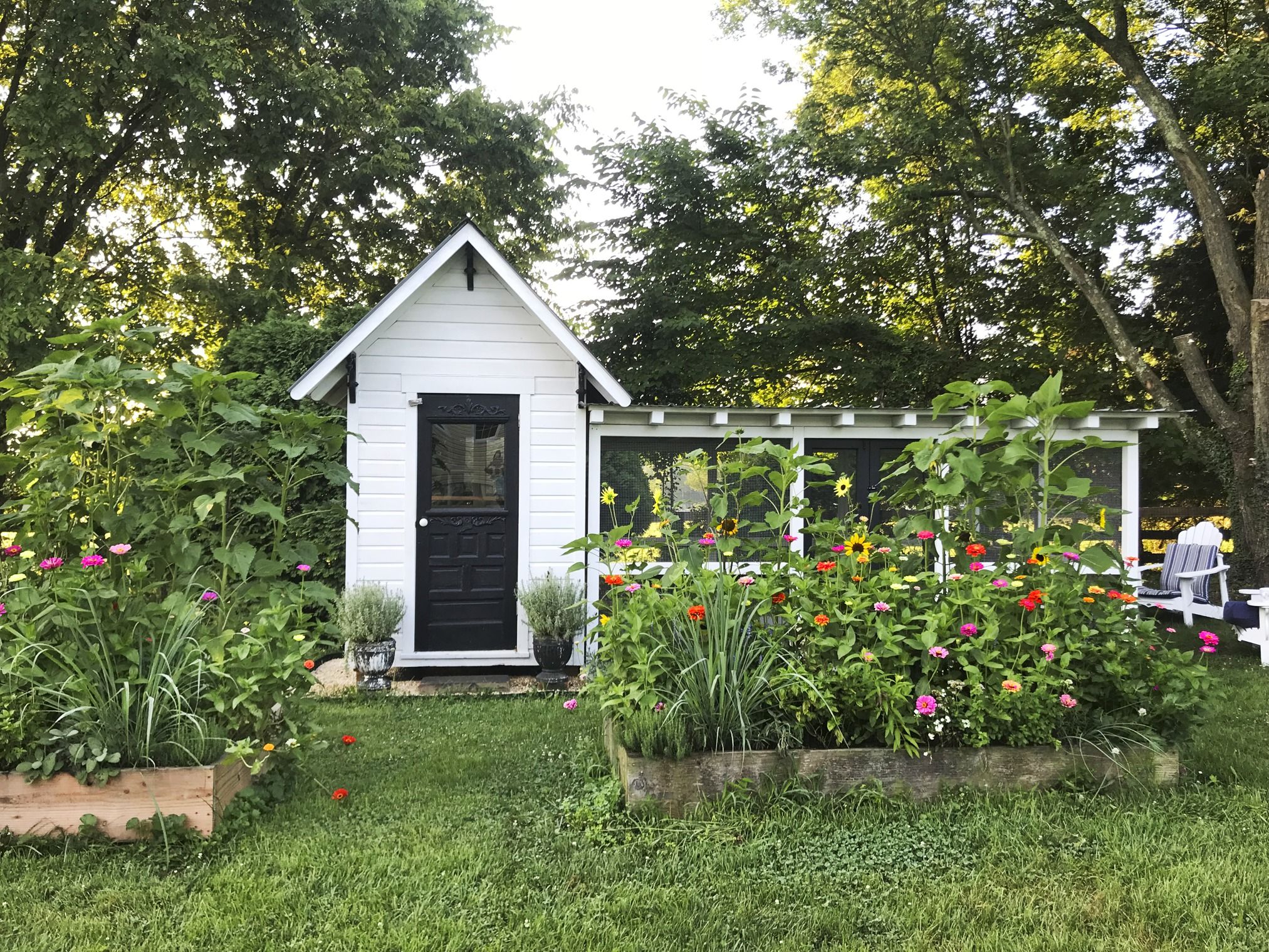 inside mobile chicken coop