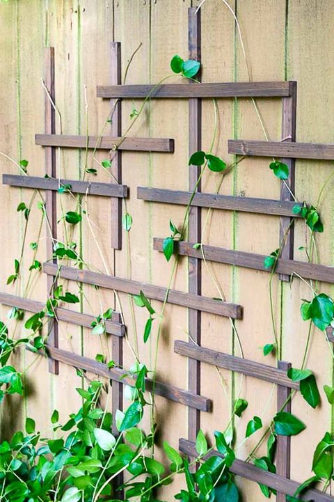 las mejores ideas para decorar con vallas tu jardín