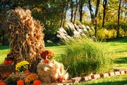 diy cornstalk decor