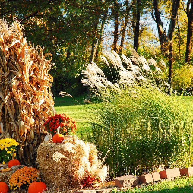 10 Farmhouse Fall Decor Ideas That Are Simply Perfect for Autumn