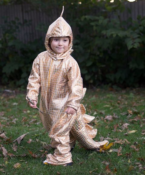 diy dinosaur costume   gina michele