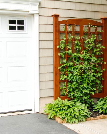 Ideas para decorar las paredes o vallas de tu jardín o terraza - Gardeneas