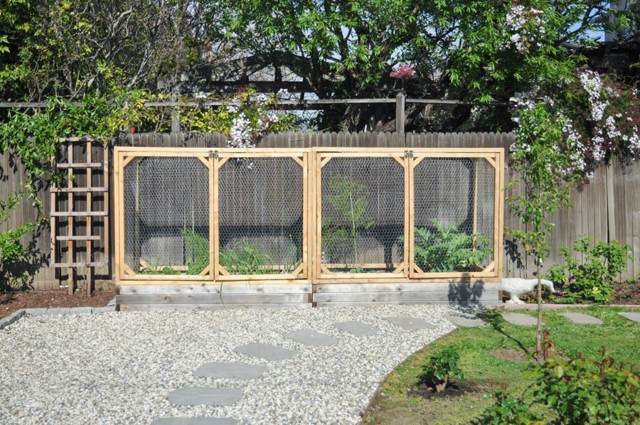 raised garden bed ideas hydrangea treehouse