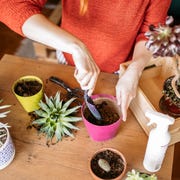 diy gifts for mom diy gifts for mom