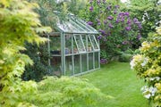 greenhouse in yard with green grass and flowers