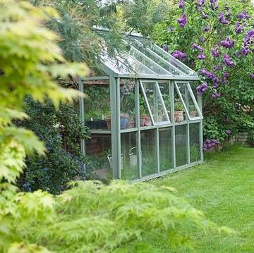 greenhouse in yard with green grass and flowers