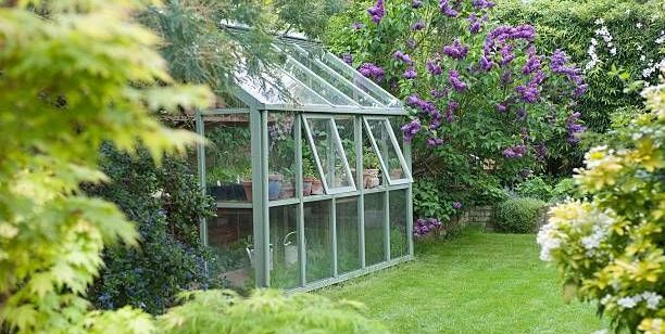 25 DIY Greenhouses That Are Cheap and Easy to Build