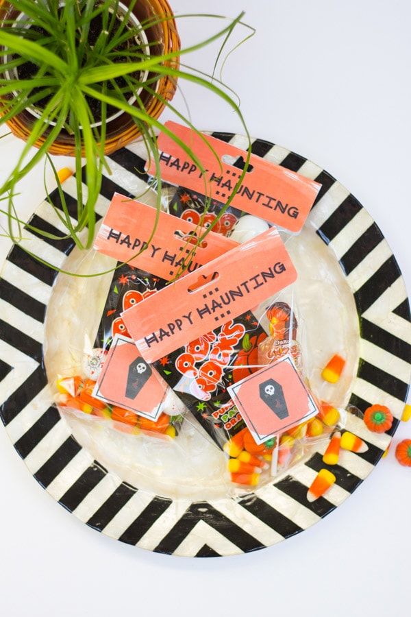This Reader Created a Fun Way to Hand Out Halloween Treats Without Contact  | Hip2Save