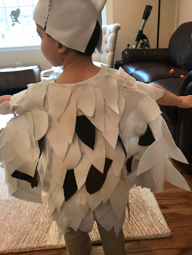 hedwig costume in diy costumes bonded my kids
