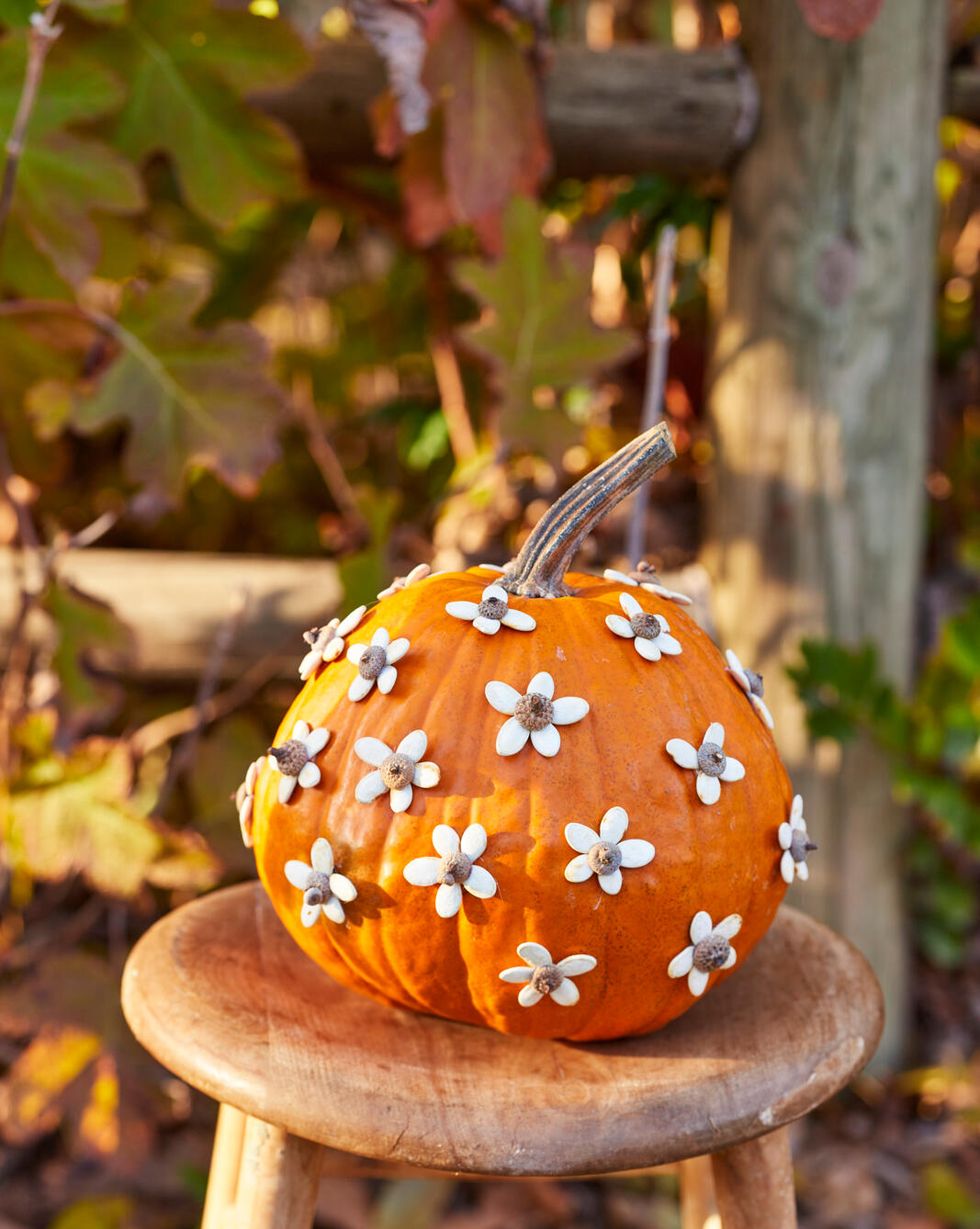 a classic orange pumpkin covered in flowers made from sunflower seeds with acorn cap centers