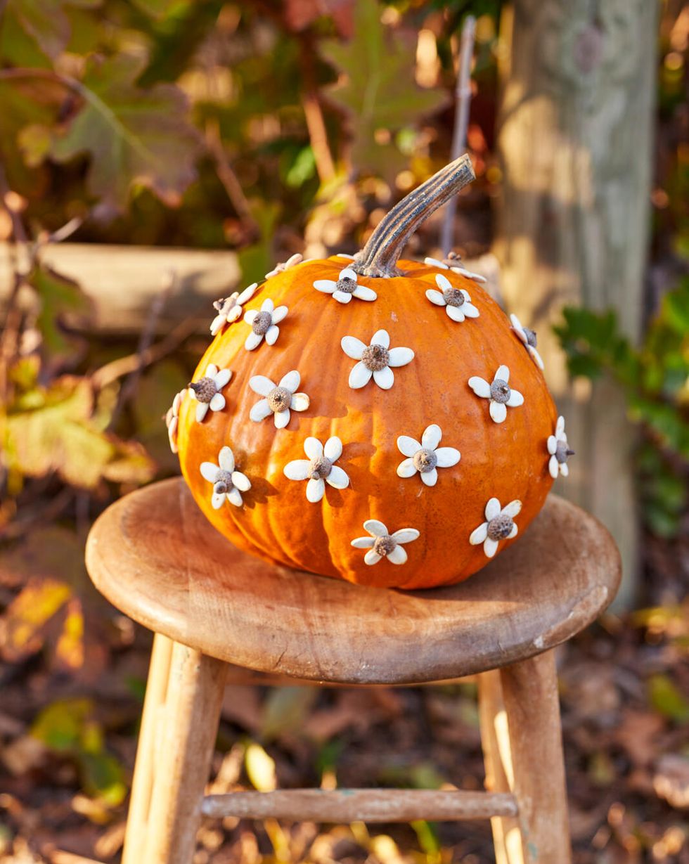 a classic orange pumpkin covered in flowers made from sunflower seeds with acorn cap centers