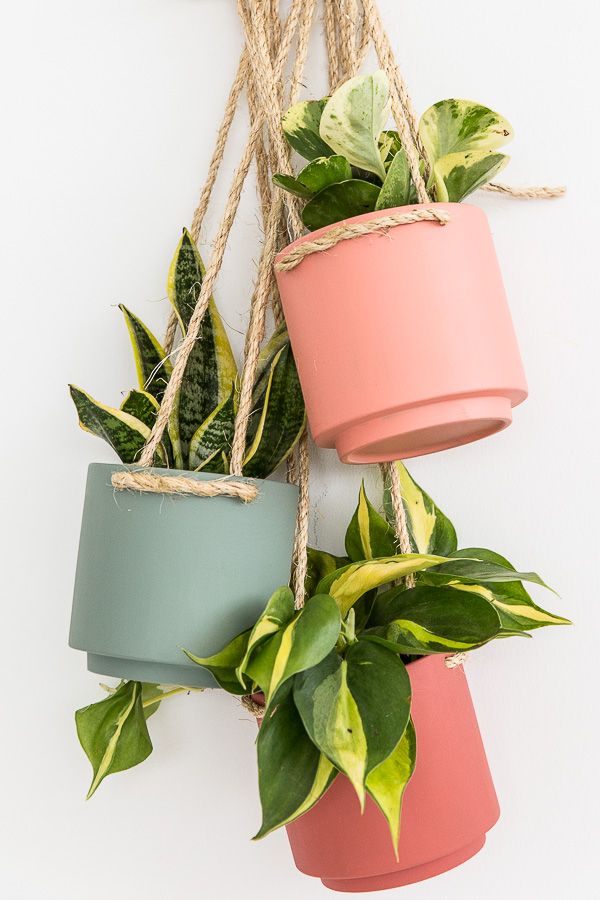 Brighten up Your Houseplants with DIY Fabric Planters