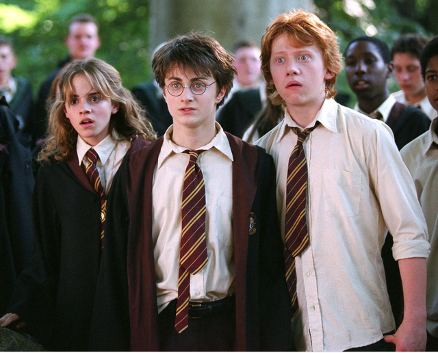 Costume orders di harry potter