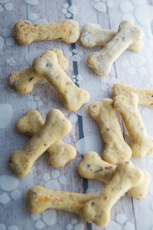 Homemade Dog Treats Recipe - Pinch of Yum