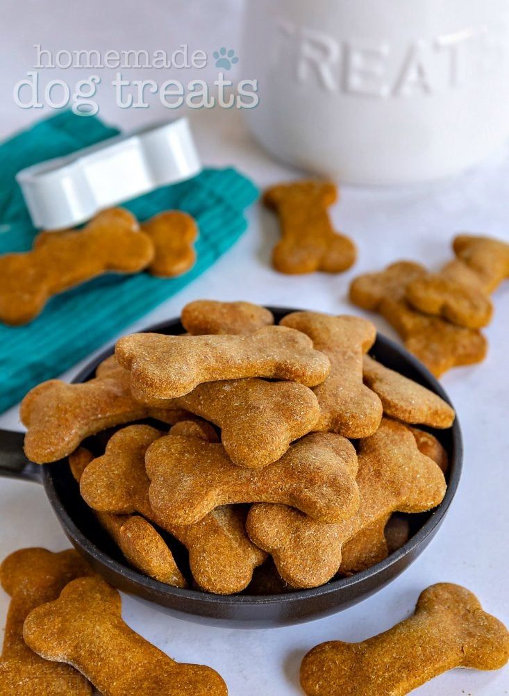 15 Best Crate Toys for Dogs - Healthy Homemade Dog Treats