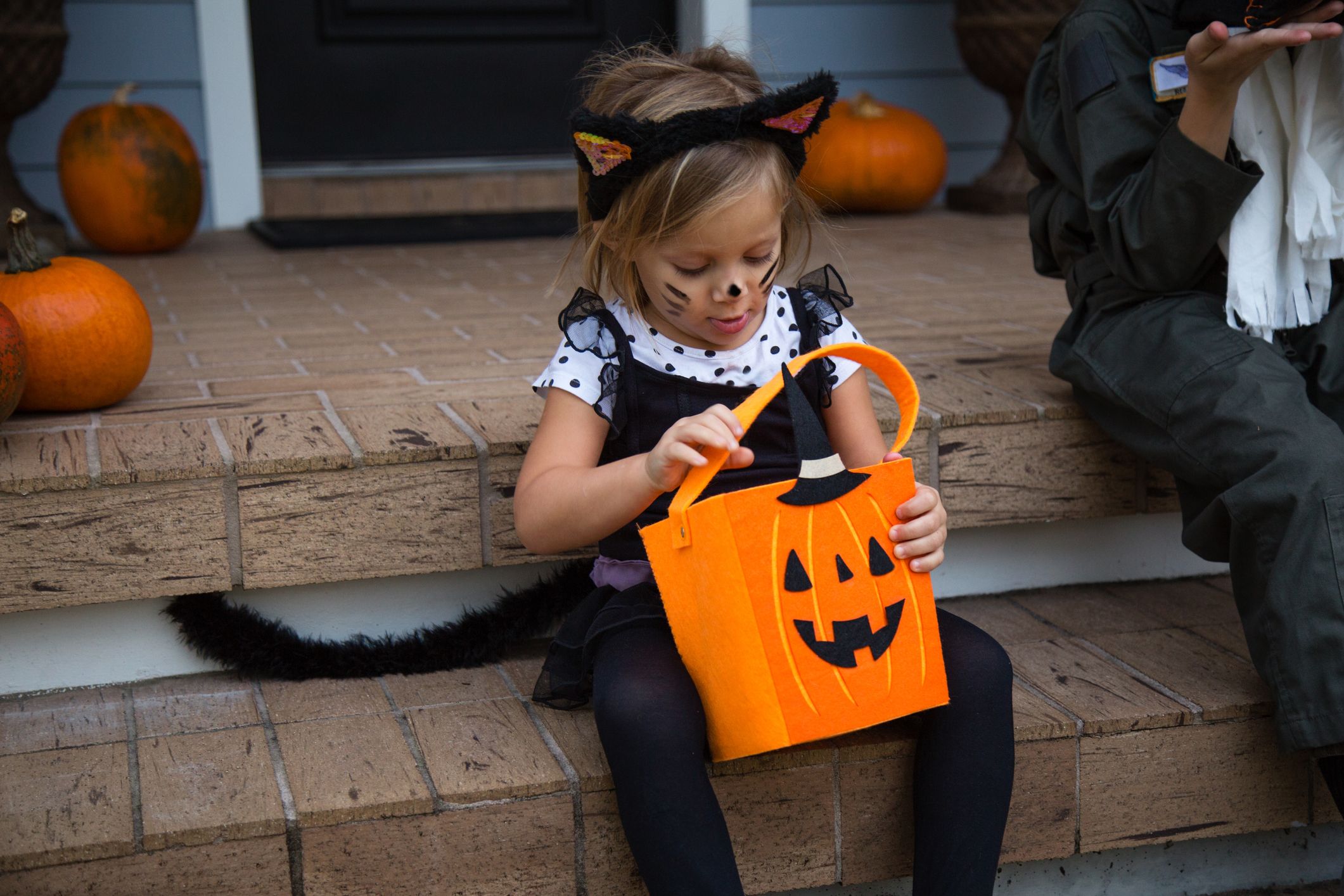 DIY Cat Costumes for Kids How to Make DIY Halloween Cat Costumes