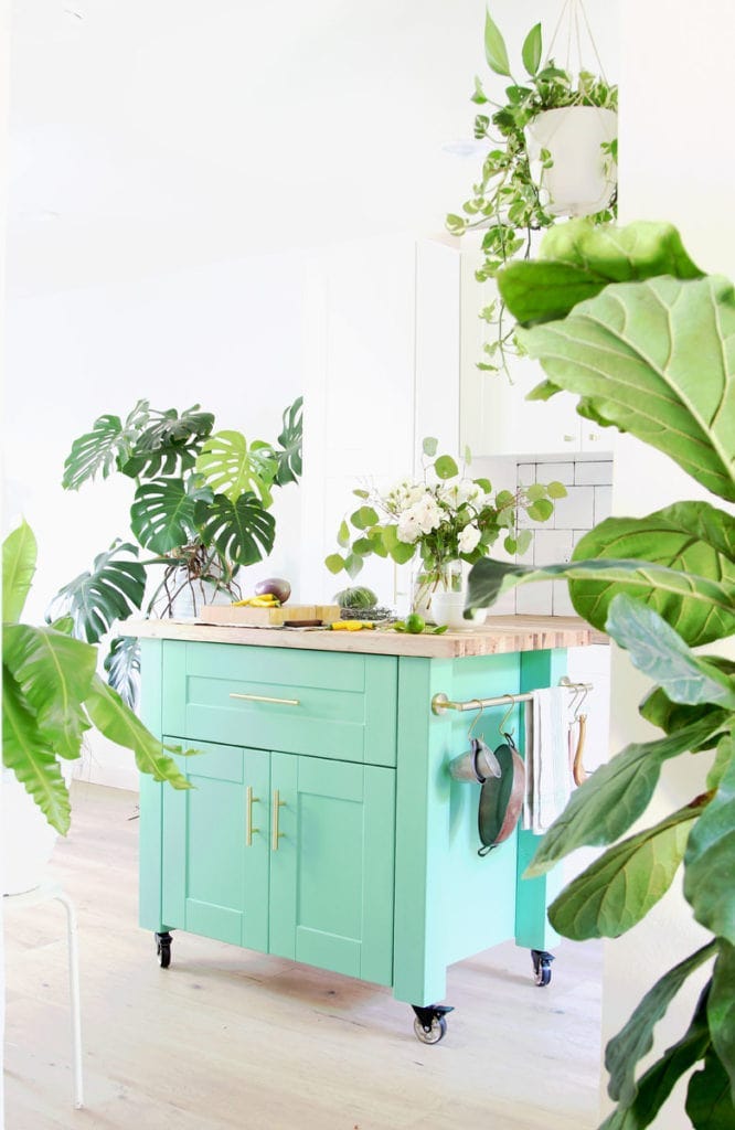 Blue cabinet with a plant on top