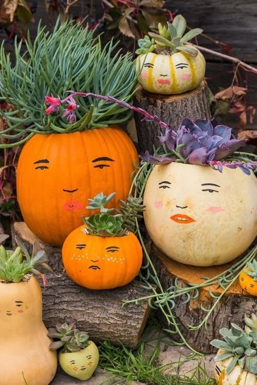 diy outdoor halloween decorations, succulent pumpkin family outside
