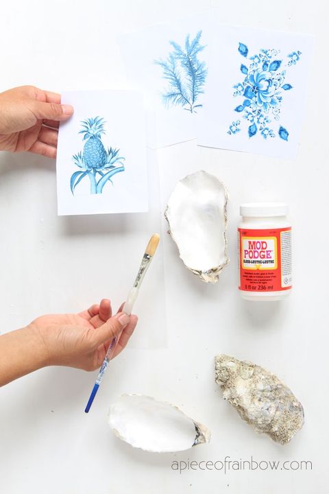 upcycle idea oyster shells and mod podge