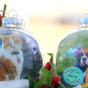 DIY pet photo ornament