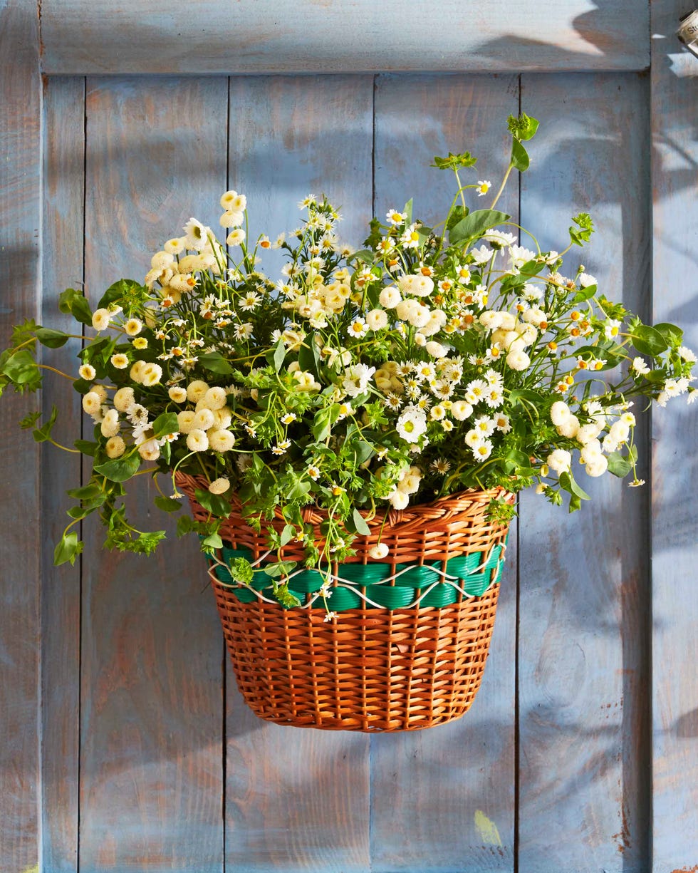 a vintage bike basket filled with summer flowers hung on a blue door